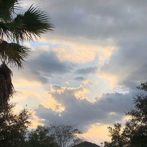 Meet your Posher, Leigh anne